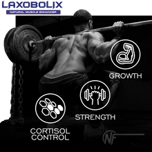 Load image into Gallery viewer, Laxobolix